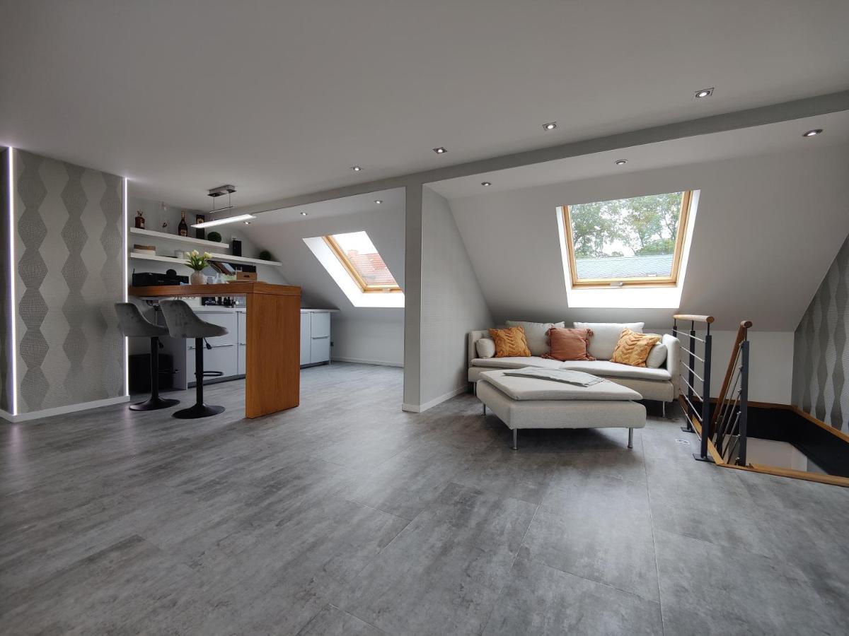 Ferienhaus Villa Adelsberg Mit Dachterrasse In Zentraler Lage Fuer Bis Zu 10 Personen Chemnitz Exteriör bild