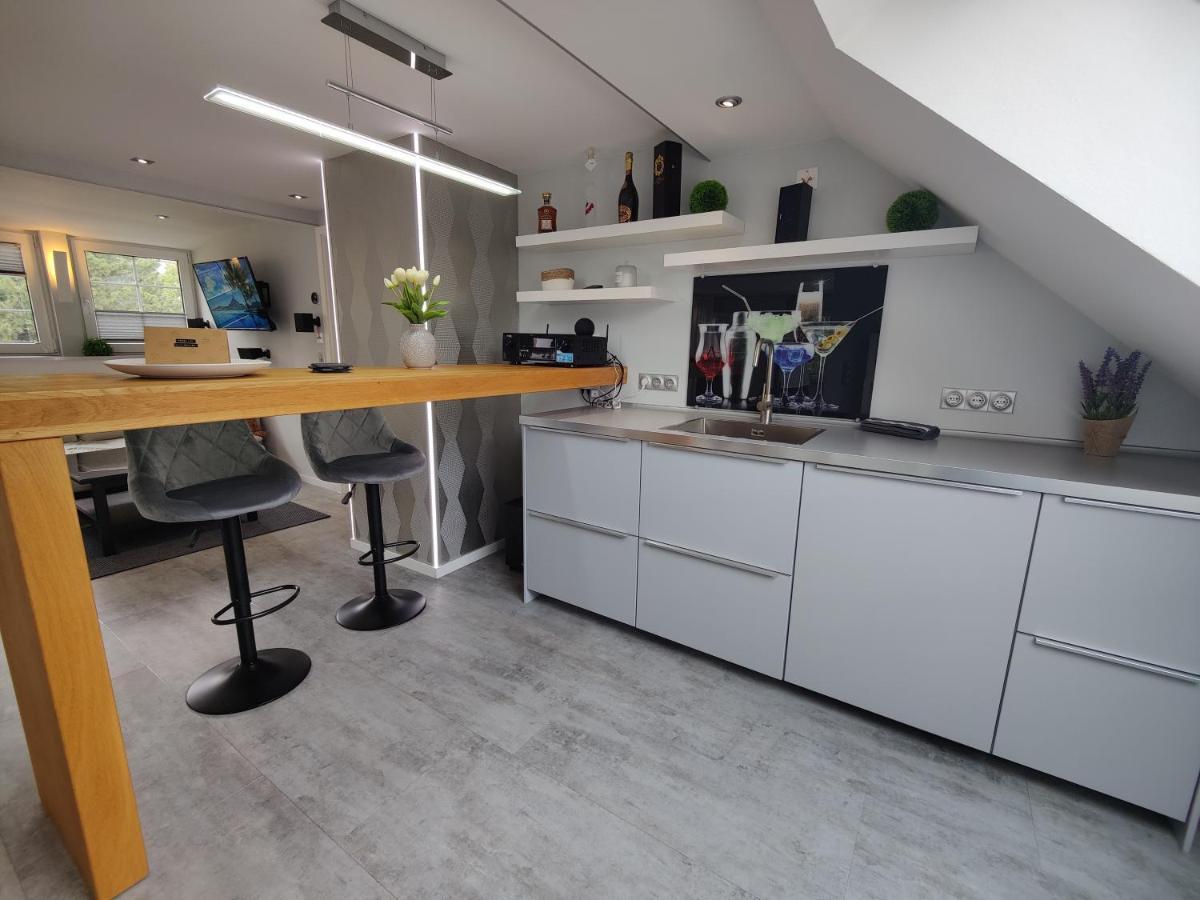 Ferienhaus Villa Adelsberg Mit Dachterrasse In Zentraler Lage Fuer Bis Zu 10 Personen Chemnitz Exteriör bild