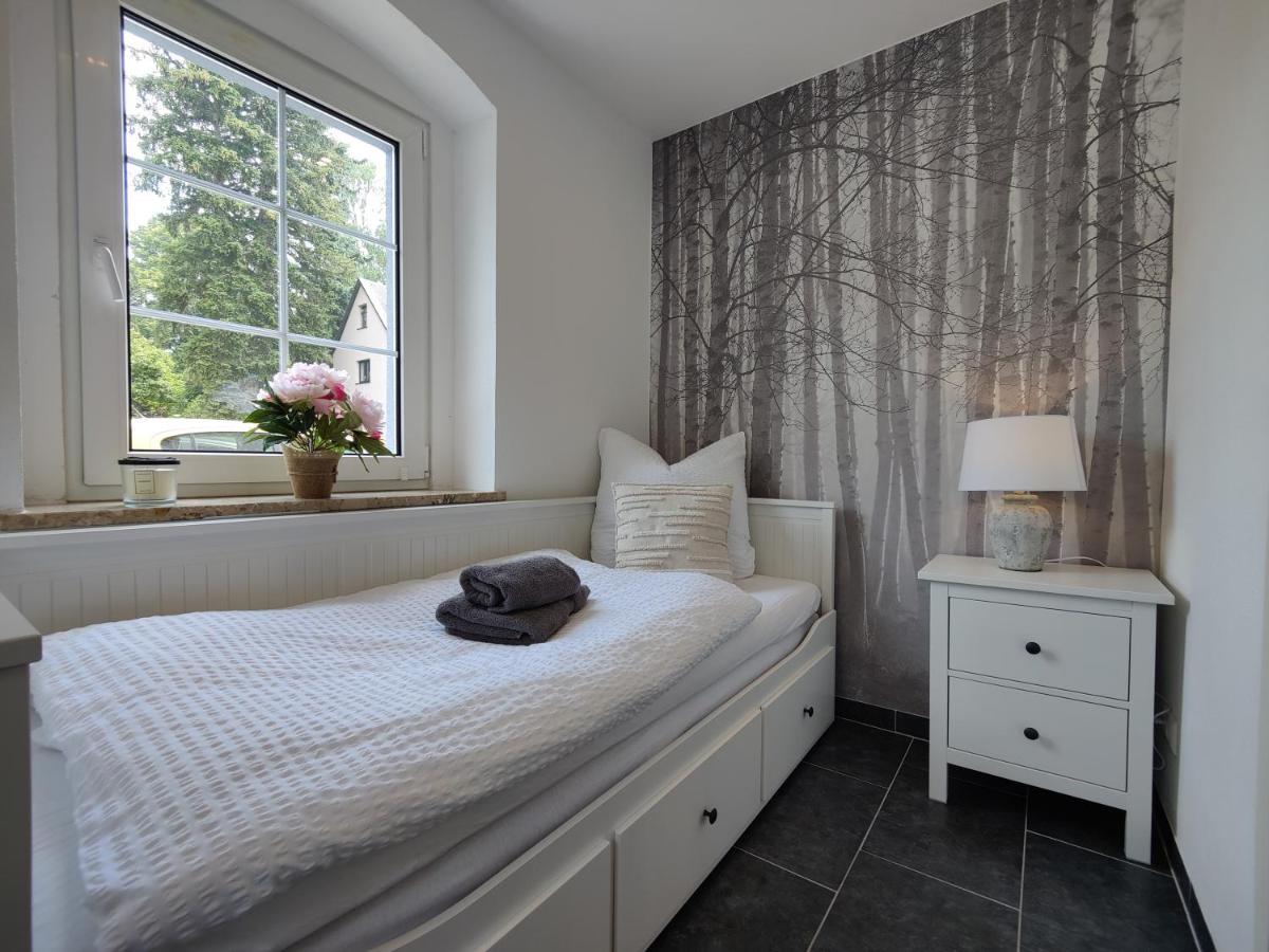 Ferienhaus Villa Adelsberg Mit Dachterrasse In Zentraler Lage Fuer Bis Zu 10 Personen Chemnitz Exteriör bild