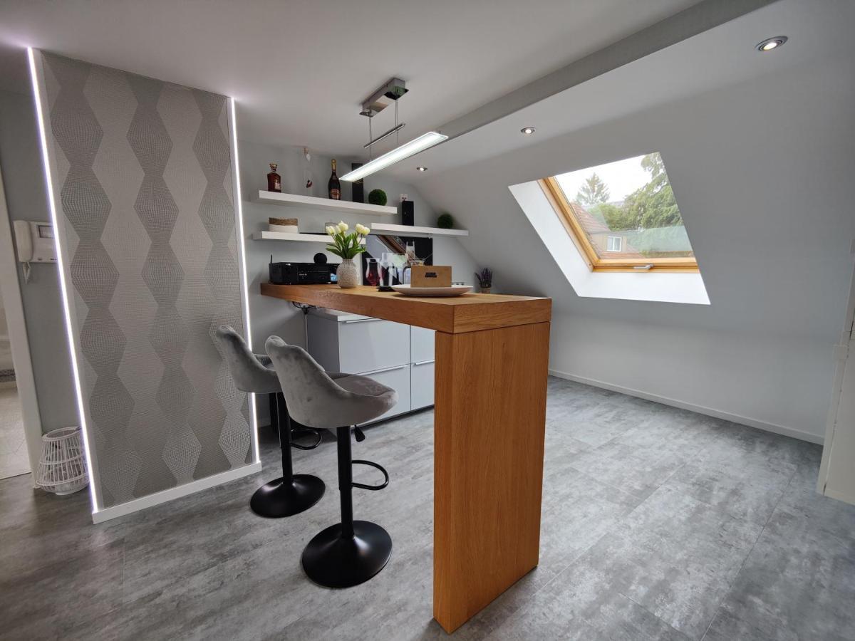 Ferienhaus Villa Adelsberg Mit Dachterrasse In Zentraler Lage Fuer Bis Zu 10 Personen Chemnitz Exteriör bild