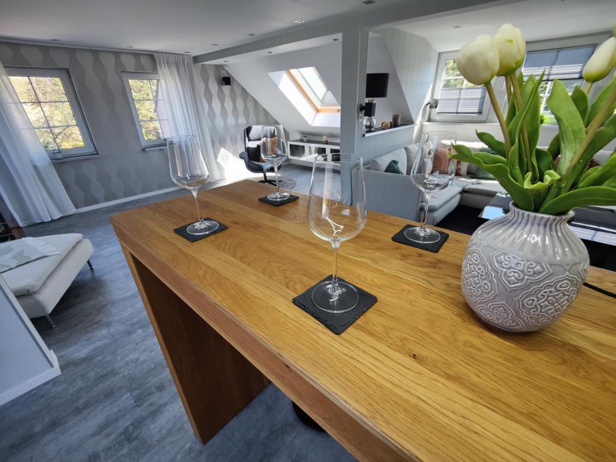 Ferienhaus Villa Adelsberg Mit Dachterrasse In Zentraler Lage Fuer Bis Zu 10 Personen Chemnitz Exteriör bild