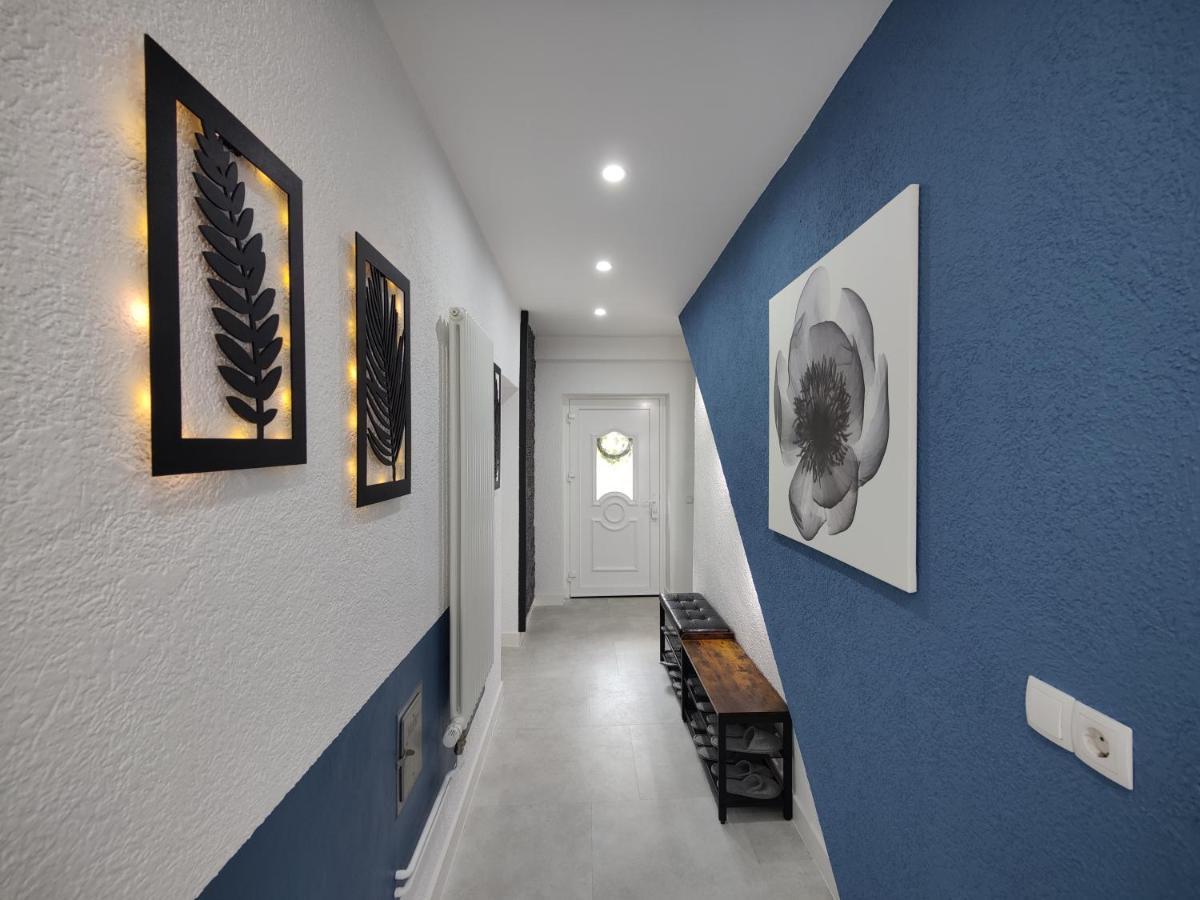 Ferienhaus Villa Adelsberg Mit Dachterrasse In Zentraler Lage Fuer Bis Zu 10 Personen Chemnitz Exteriör bild